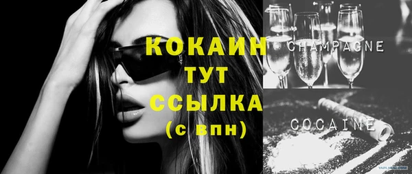 индика Балахна