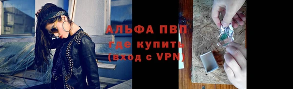 индика Балахна