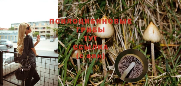 2c-b Балабаново