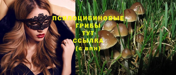молекула духа Семикаракорск