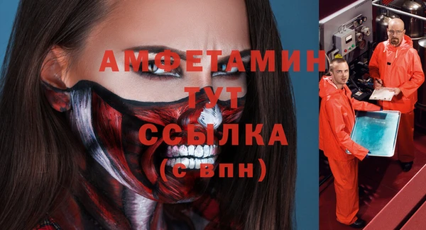 индика Балахна