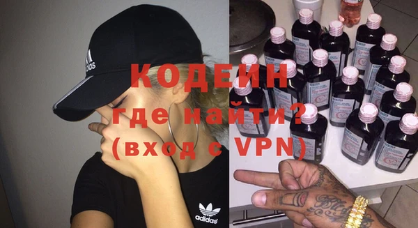 индика Балахна